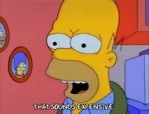 Homer Simpson saying, "that sounds expensive"