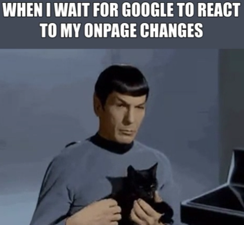Waiting for Google to react to my onpage changes